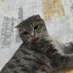 Fatma