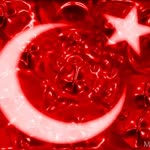 Berk