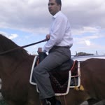 Murat