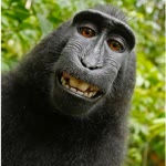 Furkan