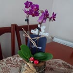 Emine
