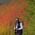 Nevzat