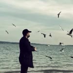 Murat