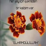 Seher