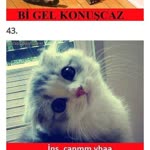 Merve