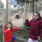 İsa