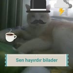 Erkan