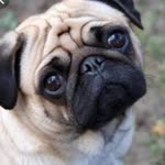 Yıldız