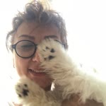 Sibel