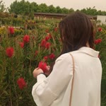 Nazerin