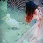 Rabia