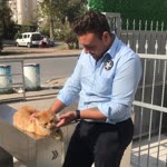 Ali