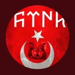 Metin