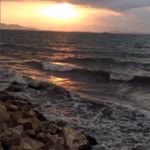Şükran