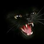 Orhan