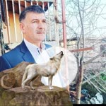 Selahattin