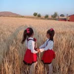 Meryem