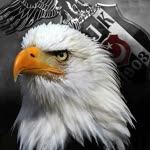 Erhan