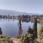Zeki