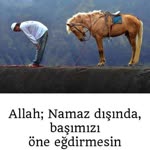 Salih
