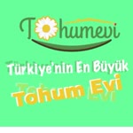 Yasemin