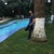 Yakup