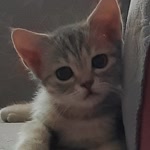 Serkan