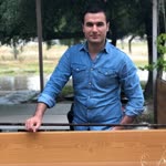 Şahin