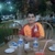 Muhammed