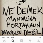 Sedat