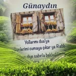 Filiz