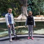Deniz