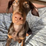 Zeynep
