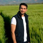 Metin