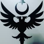 Tuğrul