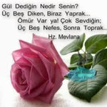 Fazlı
