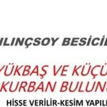 Kılınçsoy