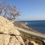 Deniz
