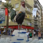 Mustafa
