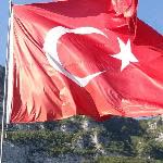 Murat