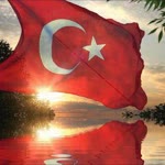 İbo