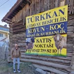 Ersin