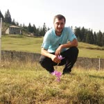 Şeker