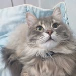 Esra