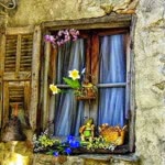 Aynur