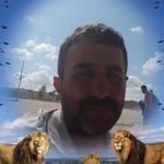 Vedat