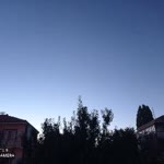 Rabia