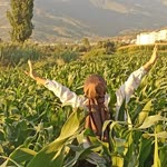 Ervayaşar