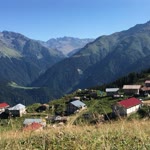 Reşit