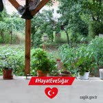 Müjgan